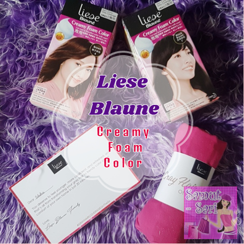 Liese Blaune Creamy Foam Color