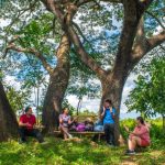 Discover Naic A Rising Hub for Life and Leisure - Profriends