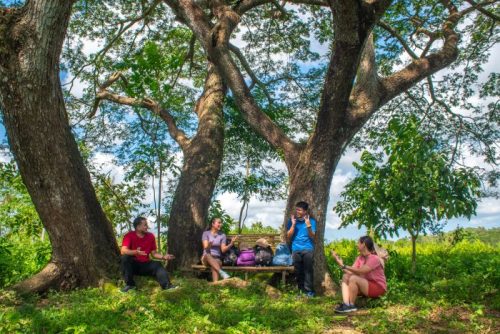 Discover Naic A Rising Hub for Life and Leisure - Profriends